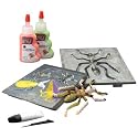 Creepy Crawlers Mold Packs - Molds May Vary