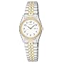Seiko Women's Dress Two-Tone Watch #SWZ144