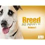 Breed All About It Season 1
