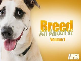 play video on Amazon Video on Demand