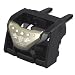 ヤック LAXEE KINGS コンパクトドリンクホルダーBK PF-169 PF-169