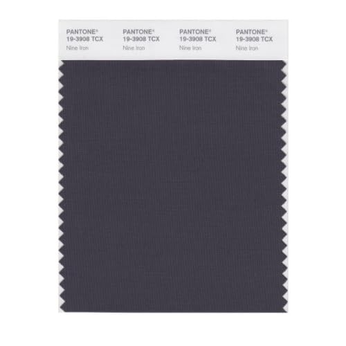PANTONE SMART 193908X Color Swatch Card, Nine Iron Wall Decor Stickers