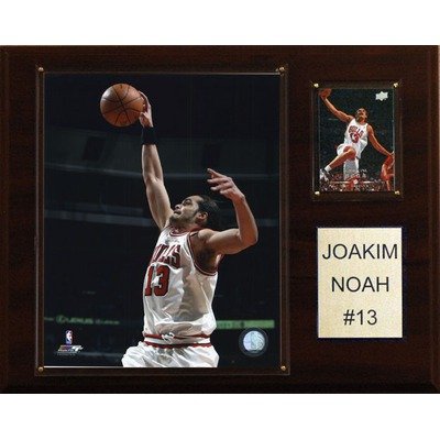 NBA Chicago Bulls Joakim Noah Player Plaque