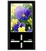 Electronics : 4GB 2' Ricco U20 260K LTPS TFT MP3 MP4 PLAYER FM Radio MIC REC AVI DIVX XVID Micro SD Card Expandable (BLACK)