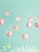 Martha Stewart Lantern Garland, Pink Eyelet
