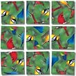 B. Dazzle Scramble Squares North America Birds