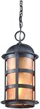 Aspen Collection 17 1/2 High Outdoor Hanging Light