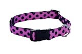 Pink w/Black Dots Collar