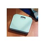 (AT177022) Budget Scale