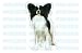 Pet Supplies : PAPILLION - Dog Decal - sticker dogs car got graphic