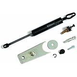 Dee Zee DZ43101 Tailgate Assist