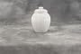 Reco White Cookie Jar
