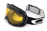 Oakley Ambush Goggles 2012