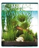 MiniBiosphäre selber bauen. Das eigene Ökosystem im Glas