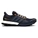 adidas Performance Men's Raven M Trail Runner