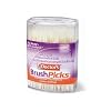 The Doctor's BrushPicks Toothpicks, 250 Picks (Pack of 12)