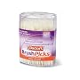 The Doctor's BrushPicks Toothpicks, 250 Picks (Pack of 12)