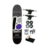 Plan B Danny Way Franchise Complete Skateboard Deck New On Sale