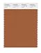 PANTONE SMART 17-1340X Color Swatch Card, Adobe