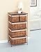 Gorgeous Ribbonwood 5 Basket Storage Chest