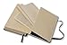 Moleskine 2016 Daily Planner, 12M, Pocket, Royal Blue, Hard Cover (3.5 x 5.5)