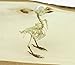 Real Taxidermy Bird Skeleton | Eurasian Tree Sparrow (Passer montanus) Specimen 3