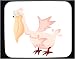 Decorated Mouse Pad with bowing, cartoon, bird, animal, pelican