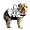 Nautical Doggy Life Jacket - S