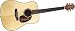 Musical Instruments : Takamine Supernatural TAN16KOA Dreadnaught Acoustic-Electric Guitar, Gloss Natural
