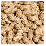 42183 RAW PEANUT W/SHELL
