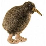 Kiwi 8
