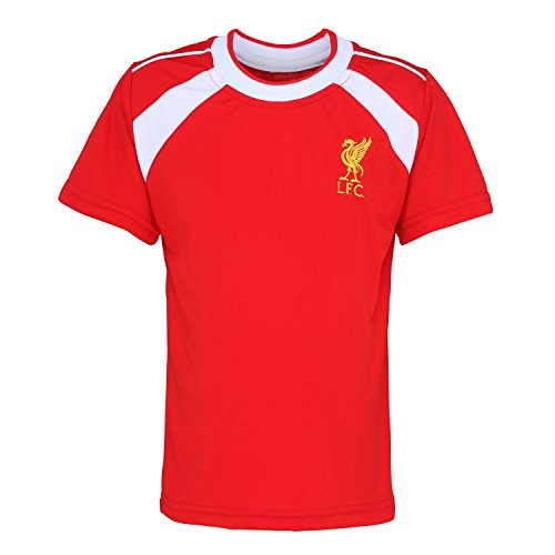 Official Football Merchandise Kids Liverpool FC Short Sleeve T-Shirt (2/3 years) (Red)