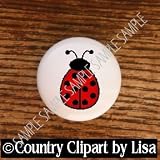 BUGS CCL LADYBUG #10 DRAWER PULLS KNOBS
