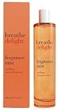 Bath & Body Works Breathe Delight Uplifting Tamarind Nectar Fragrance Mist 3.3 oz (100 ml)