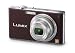 Panasonic Lumix DMC-FX33T 8.1MP Digital Camera with 3.6x Wide Angle MEGA Optical Image Stabilized Zoom (Brown)