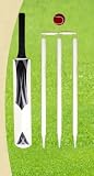 Cricket set size 3