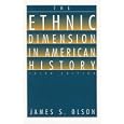  The Ethnic Dimension in American History  by James S. Olson