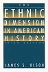 The Ethnic Dimension in American History