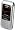 LG enV VX9900 Phone, Silver (Verizon Wireless)