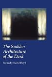 The Sudden Architecture of the Dark (Custom Words)