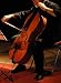 Viola at a Concert - 24