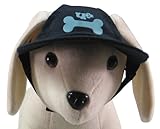 UP Collection The Perfect Blue Dog Cap, Small