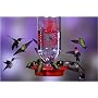 Best 1 32 oz. Glass Hummingbird Feeder