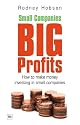 Small Companies, Big Profits: How to Make Money Investing in Small Companies