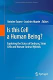 Is this Cell a Human Being?: Exploring the Status of Embryos, Stem Cells and Human-Animal Hybrids