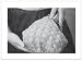 #2404 DONNA PURSE VINTAGE CROCHET PATTERN