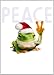 Avanti Christmas Cards, Festive Frog, 10 Count