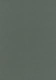 Asian American modern art : shifting currents, 1900-1970