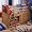 Austin Twin Loft Bed (1-bx 618-963r, 1-bx 618-sp33) Image #1