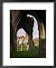 Ruins of Llanthony Priory, Vale of Ewyas, Black Mountains, Gwent, Wales, United Kingdom Framed Art Poster Print by Adam Woolfitt, 18x22